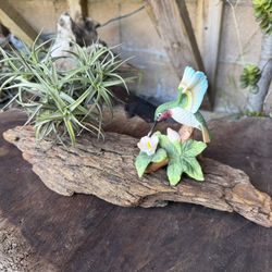 Table Top  Hummingbird And Airplant 