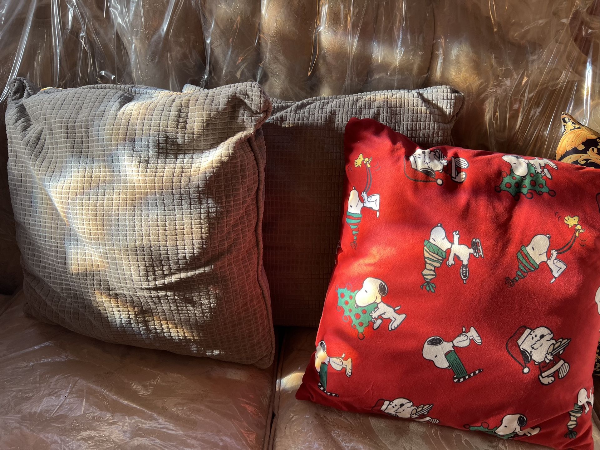 Couch/Bed Pillows