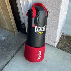 Everlast Heavy bag 