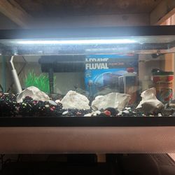 Fish Tank For Sale