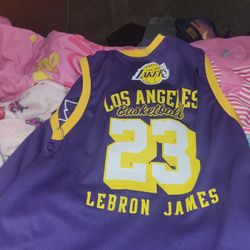Lakers Jerseys LeBron James With Shorts 