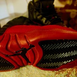 Air Jordan 12 "Flu Game" shoes