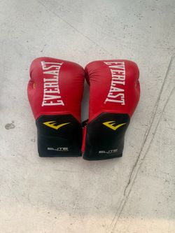 Everest boxing gloves size Large