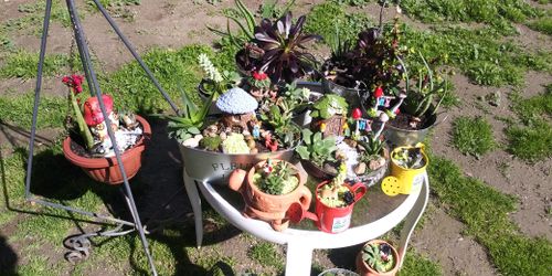 Mini jardines