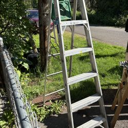 Werner 6 Ft Ladder 