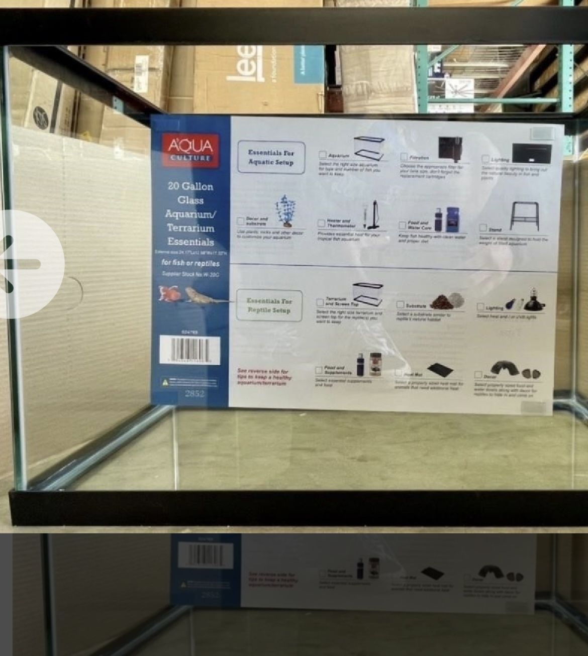 20 gallon aquarium tank