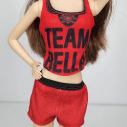WWE Superstars Fashion Doll Nikki Bella Team Bella Outfit