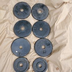 Standard Size Weight Plates. 35 lbs