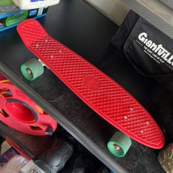 Penny Board Skateboard