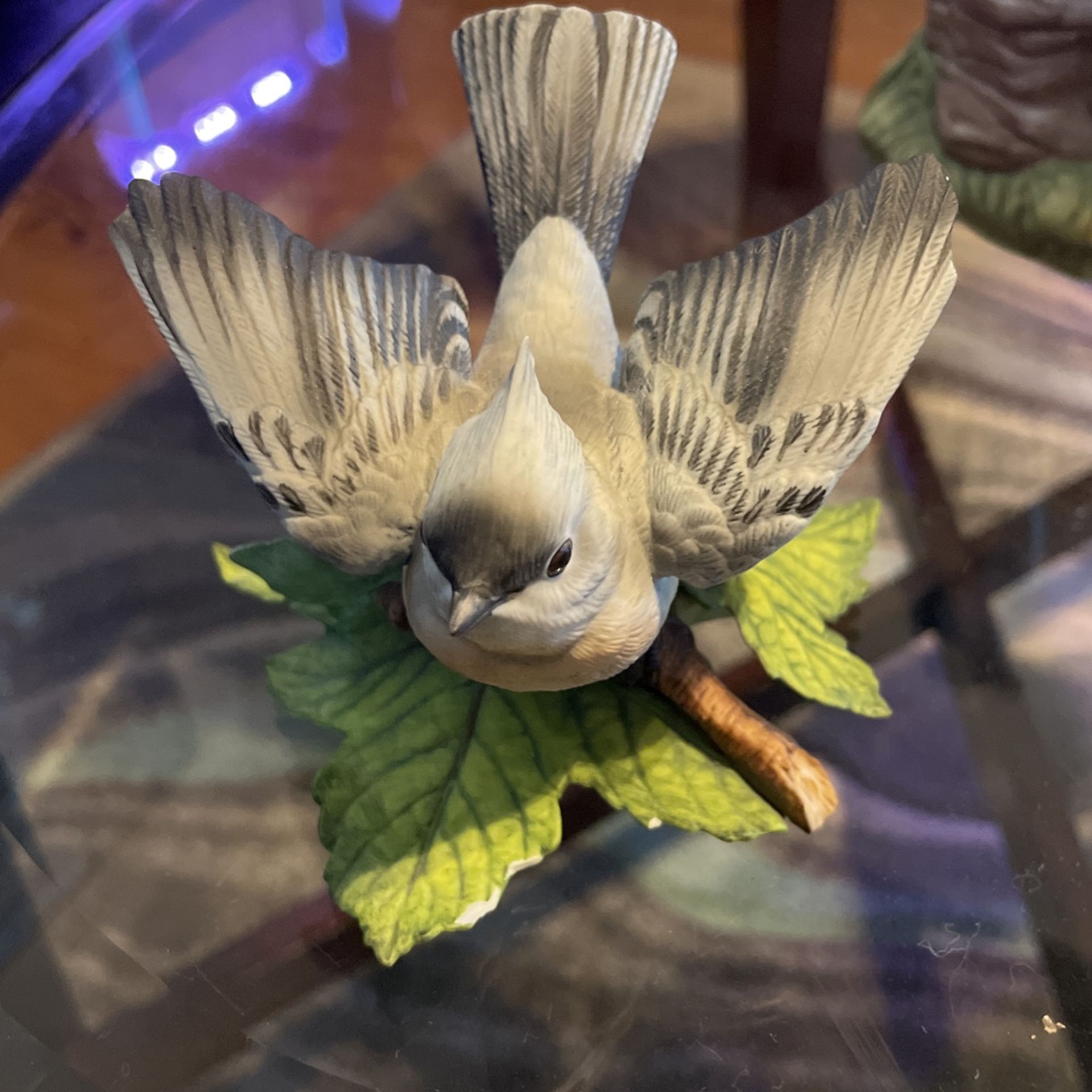 Tufted Titmouse Bird