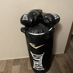 EVERLAST Punching Bag And Gloves