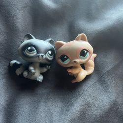 lps raccoon 