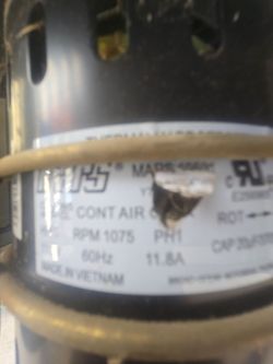 Blower motor