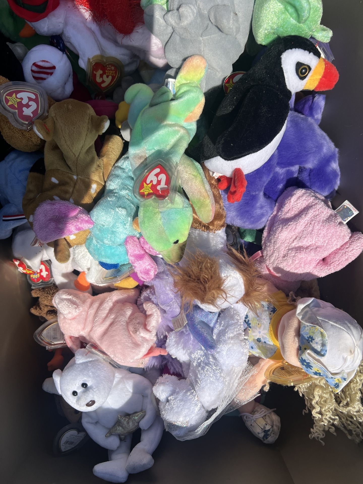 TY Beanie Babies Lot