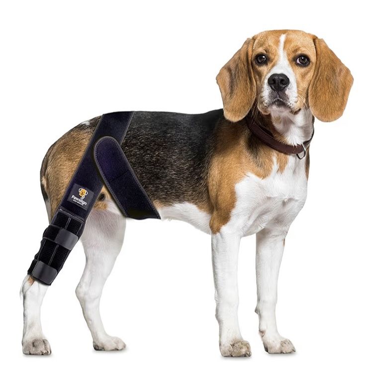 Dog Knee Brace for Torn ACL Hind Leg - Adjustable Dog Leg Brace for Back Leg and Front Leg Support, Knee Brace for Dogs, Promotes Stability and Recove