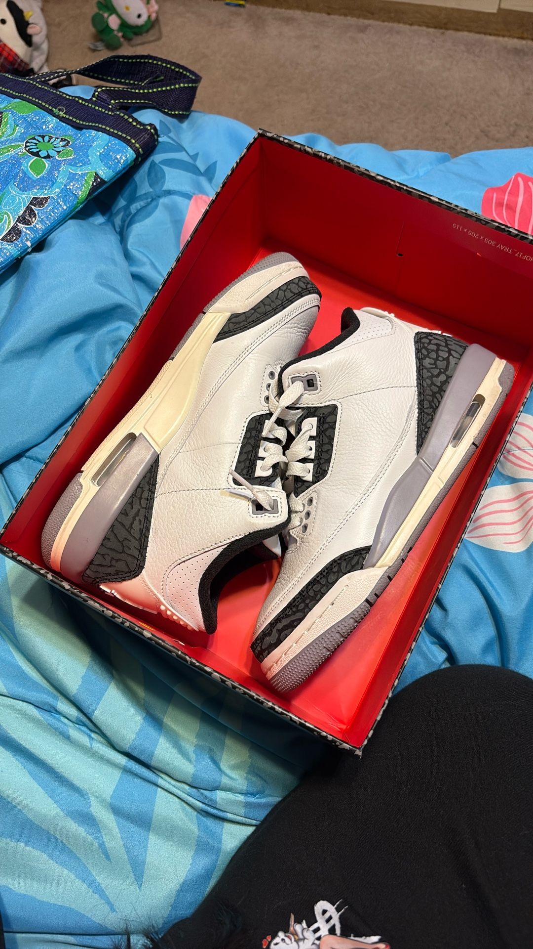 Air Jordan’s Retro 3s (gs )5y