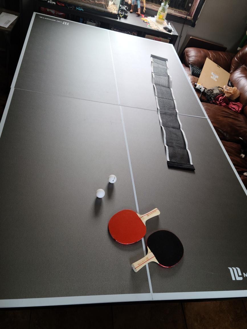 Ping Pong Table 