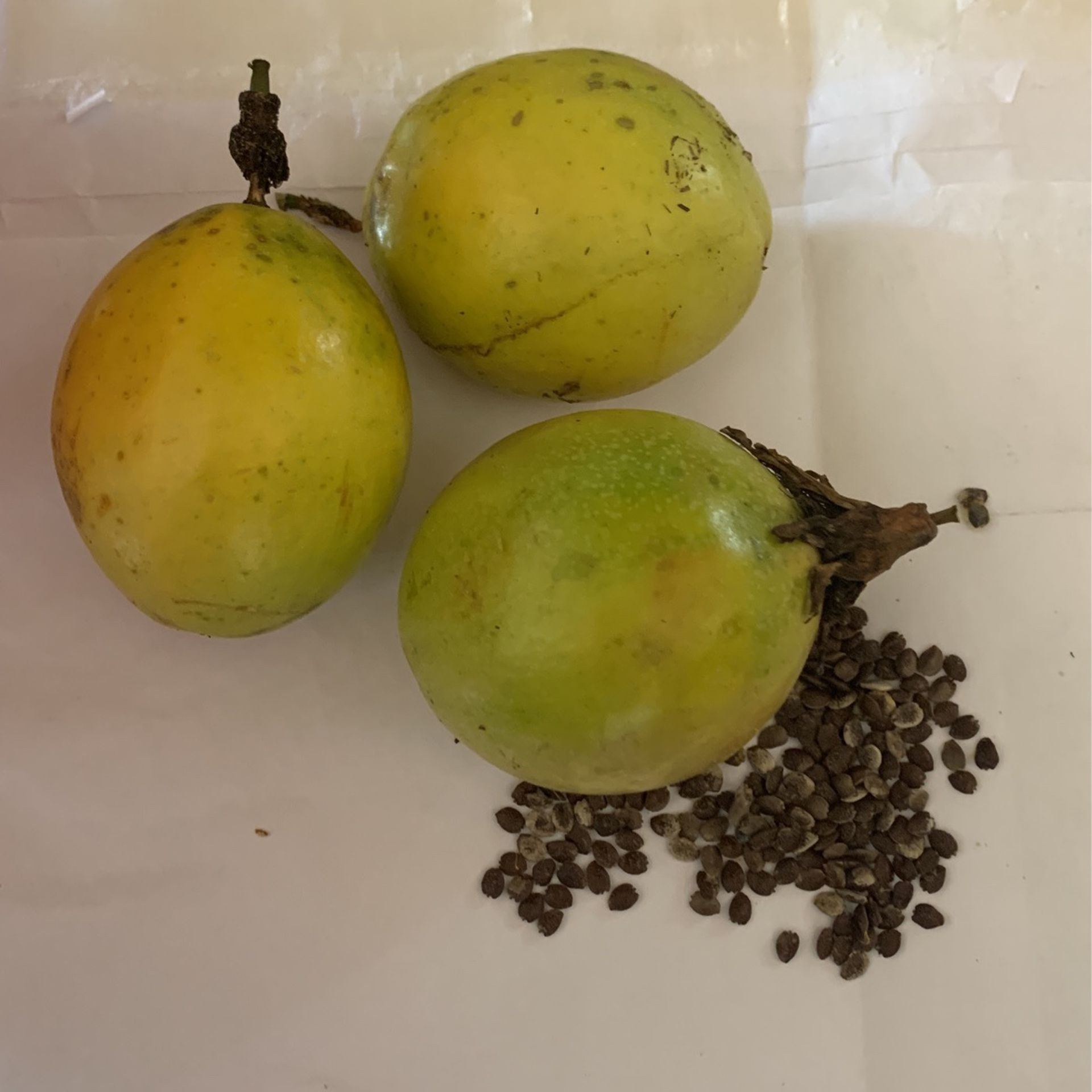Passion Fruit Seeds