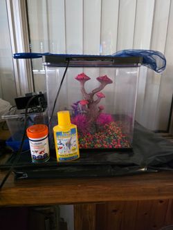 Fish tank with supplies