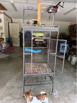 Parrot cage