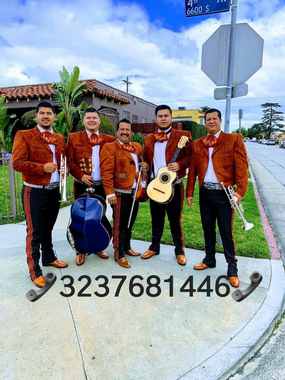 Vihuela Violín Mariachi
