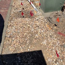 Decorative Rock Free