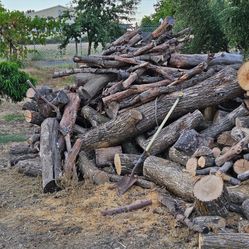 Firewood Logs For Sale