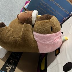 Capybara Plushies 
