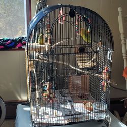Bird Cage (With tray)