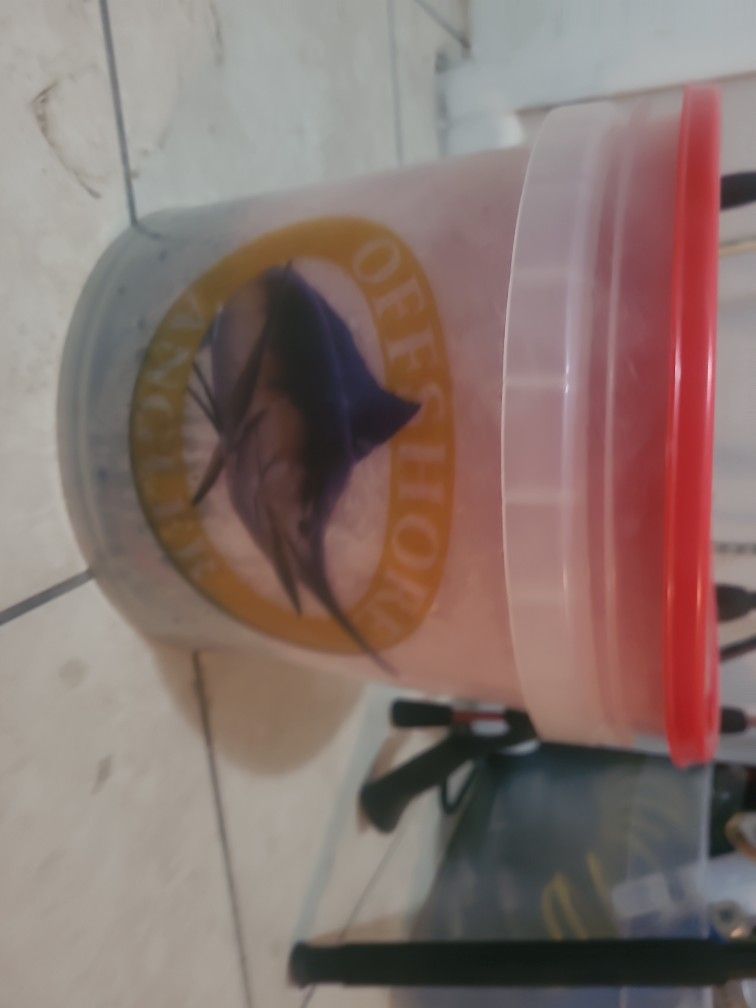 Fishing Poles And Casting Net