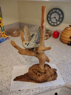Cute Carved Wood Barn Owl Sculpture