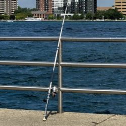 Fishing Rod With Reel