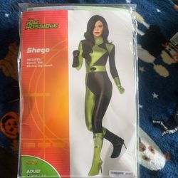 Kim Possible Costume 