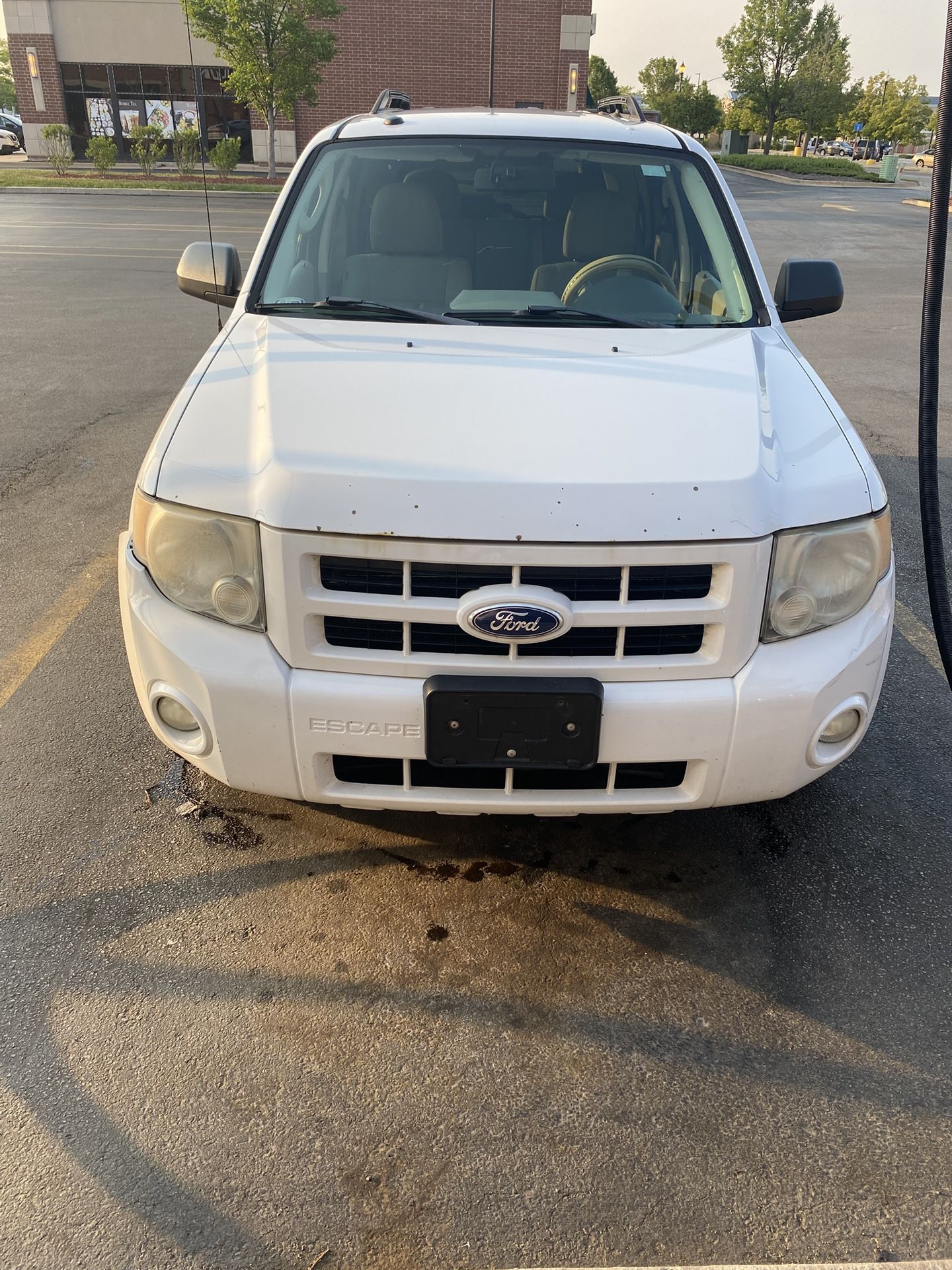 2010 Ford Escape Hybrid