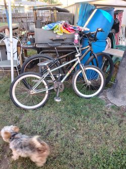 24 gt bmx and 29 bmx