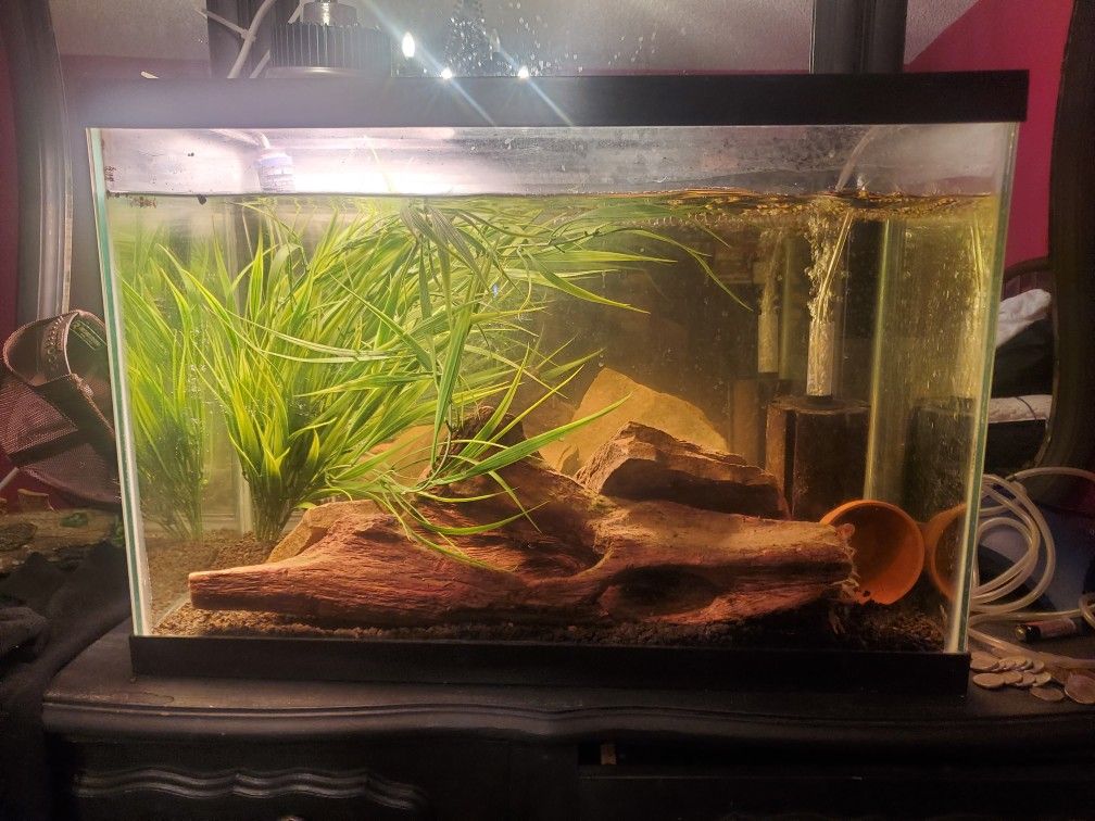 20 Gallon Tall Fish Tank