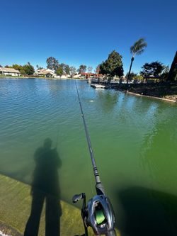 Shimano Curado DC