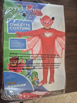 Halloween costume  toddler