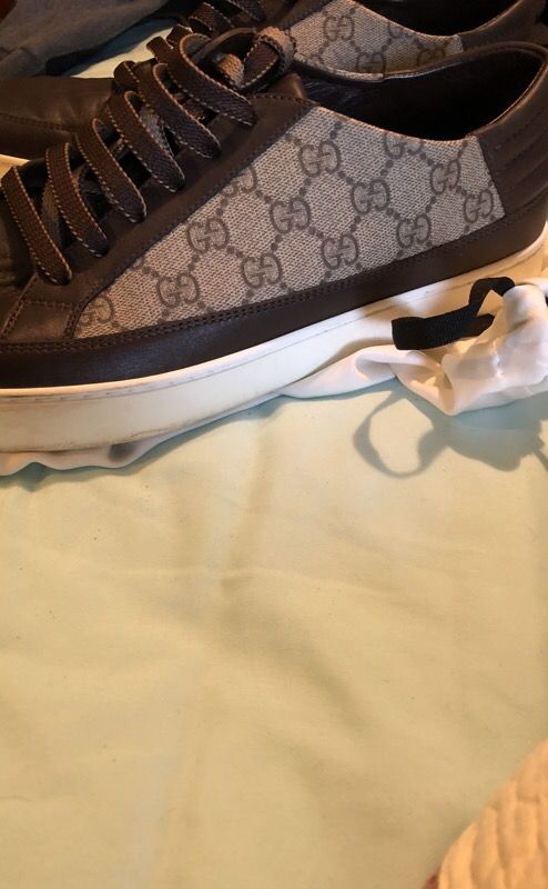 Gucci low supremes