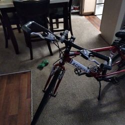 1 Bikes Schwinn Red  For $100