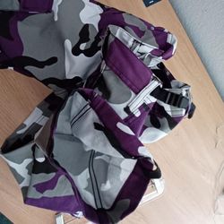 BDU pants (sac kings colors)