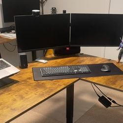 24” HP Monitors & Stand