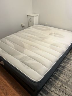 Queen mattress , I want it gone!