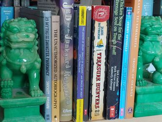 Lemony snicket minecraft books