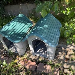 Little Animal Shelter