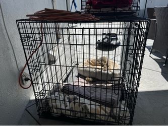 Large dog crate 4 sale