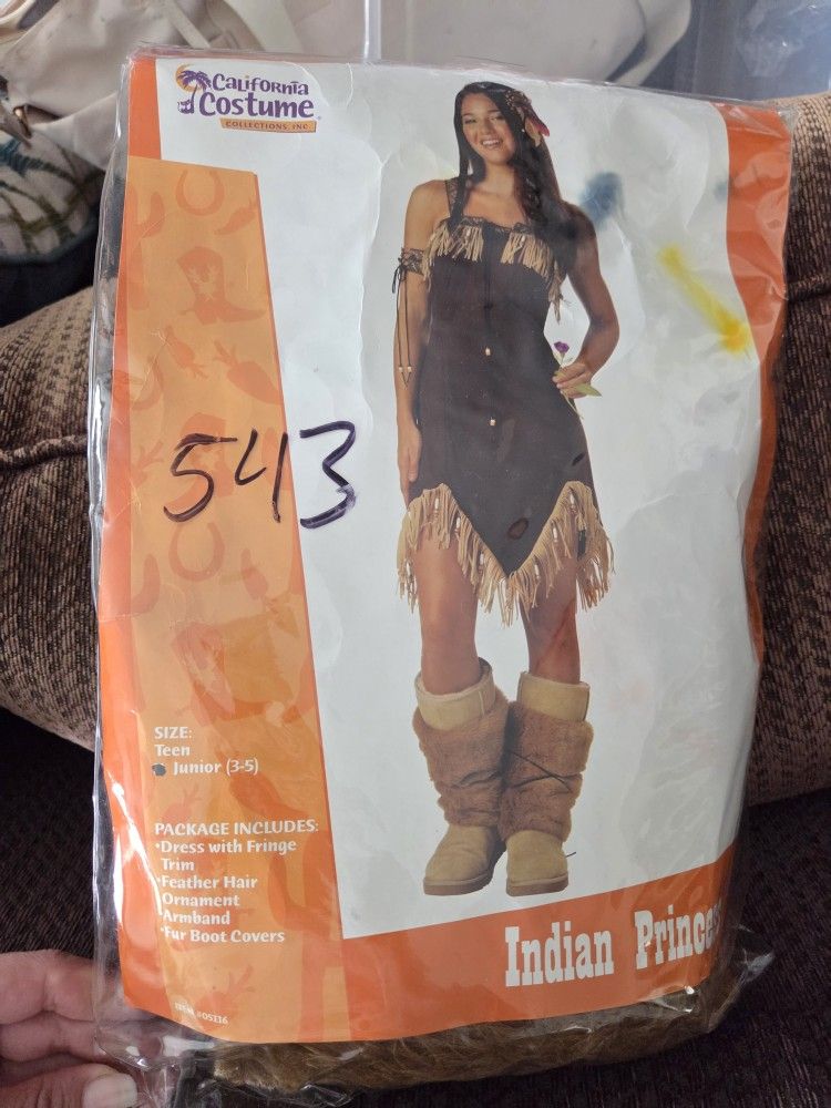 Teen Halloween Costume Indian Princess