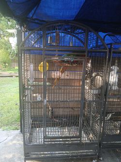 Large Cage