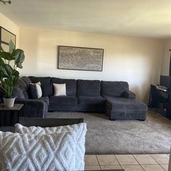 Large grey Sectional