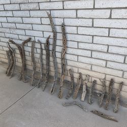 Cholla - Dried